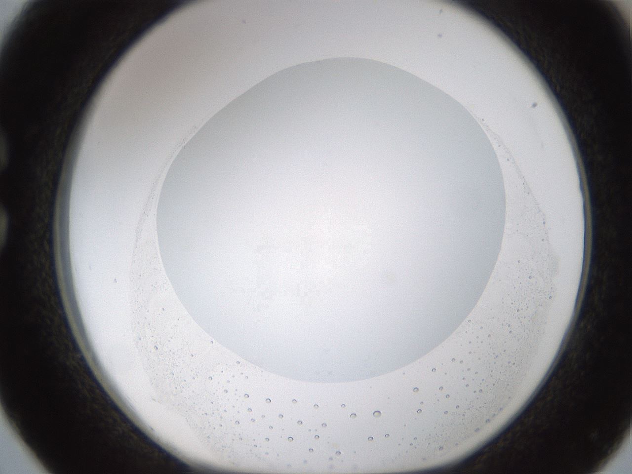 folderID593_plateID1593_batchID6726_wellNum26_profileID1_d1_r105638_ef.jpg