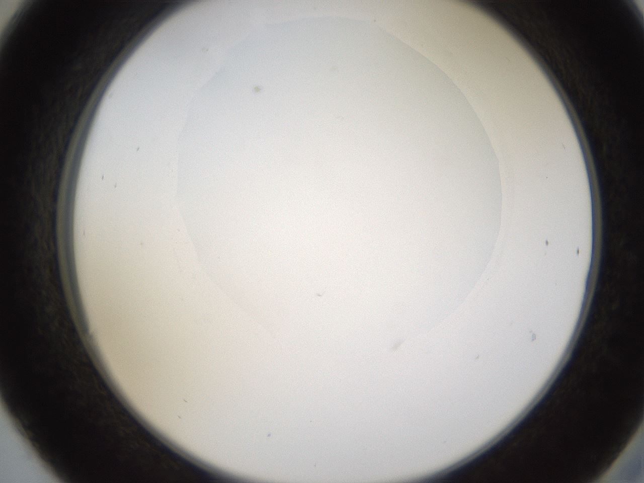 folderID593_plateID1593_batchID6726_wellNum30_profileID1_d2_r105647_ef.jpg