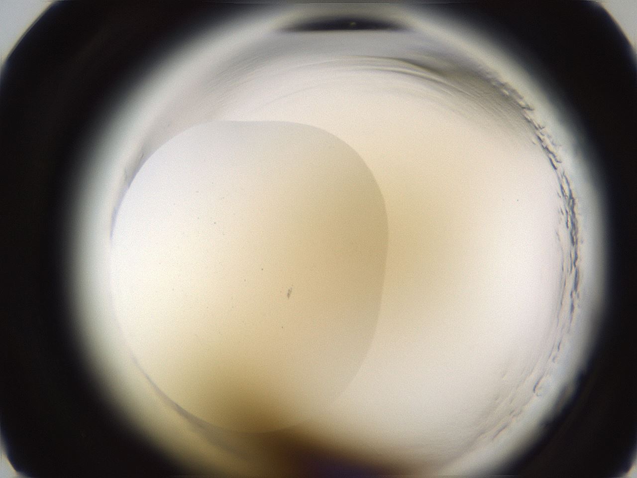 folderID592_plateID2592_batchID13178_wellNum9_profileID1_d1_r203074_ef.jpg