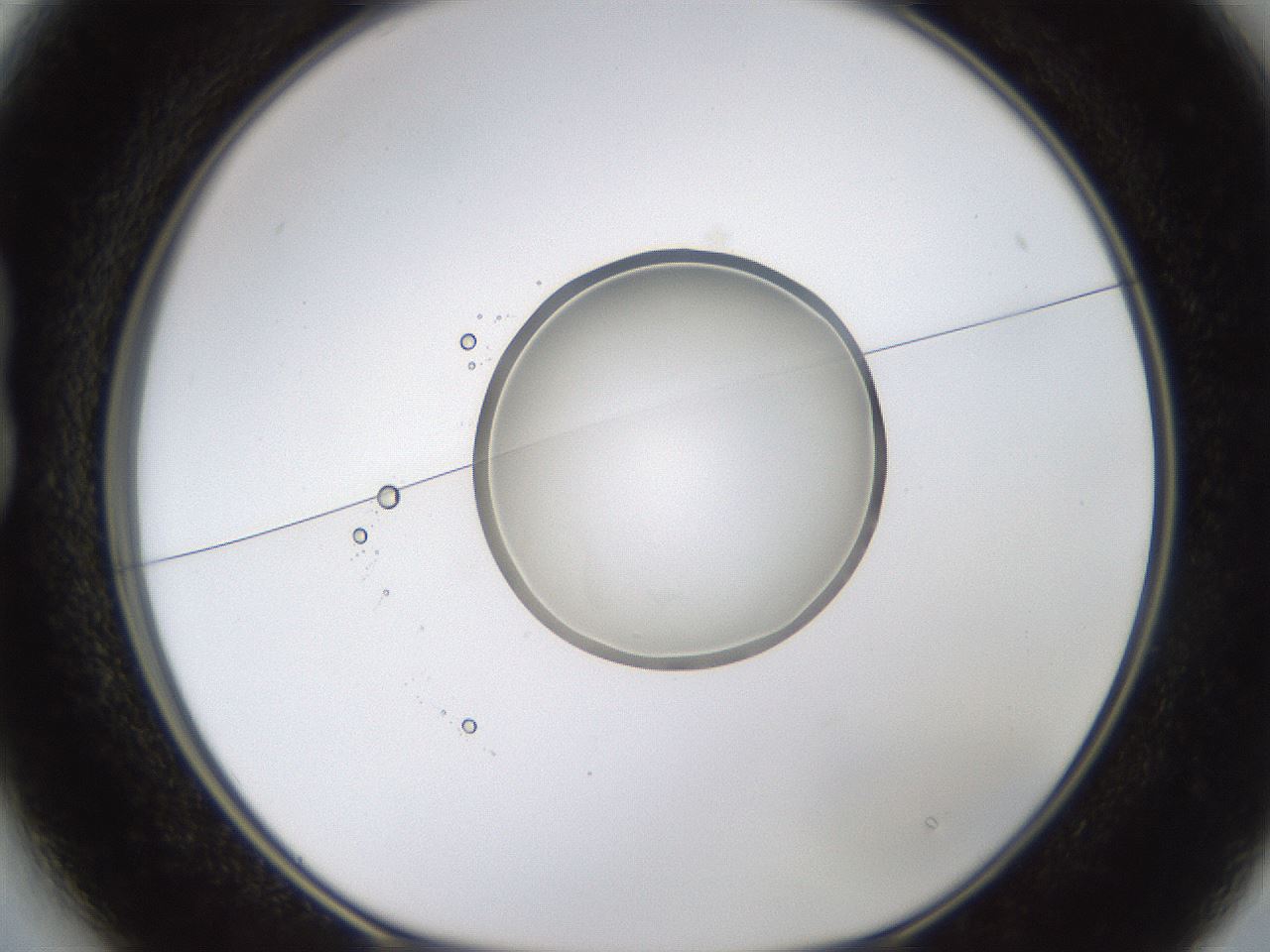 folderID593_plateID1593_batchID6726_wellNum13_profileID1_d1_r105612_ef.jpg