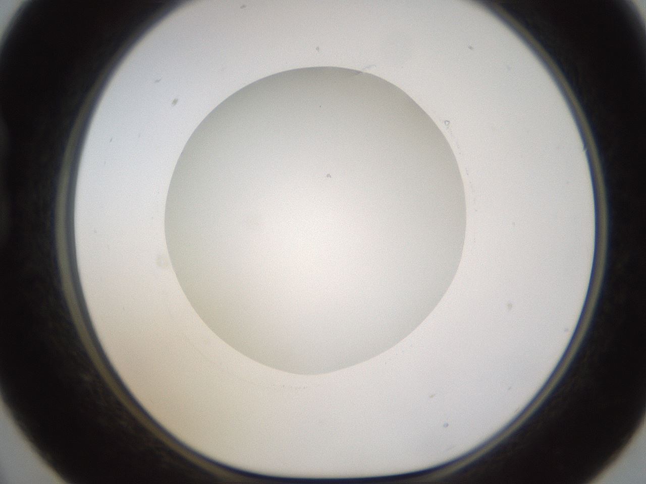 folderID593_plateID1593_batchID6726_wellNum21_profileID1_d1_r105628_ef.jpg