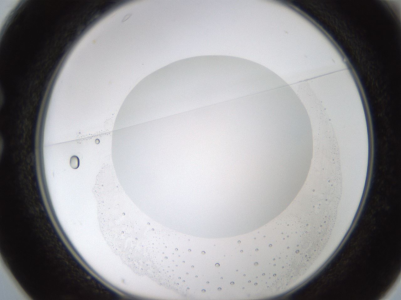 folderID593_plateID1593_batchID6726_wellNum25_profileID1_d1_r105636_ef.jpg