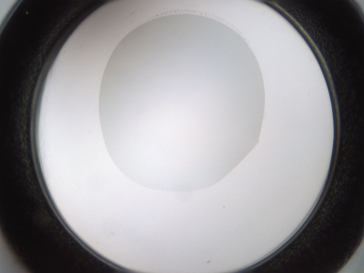 folderID593_plateID1593_batchID6726_wellNum25_profileID1_d2_r105637_ef.jpg