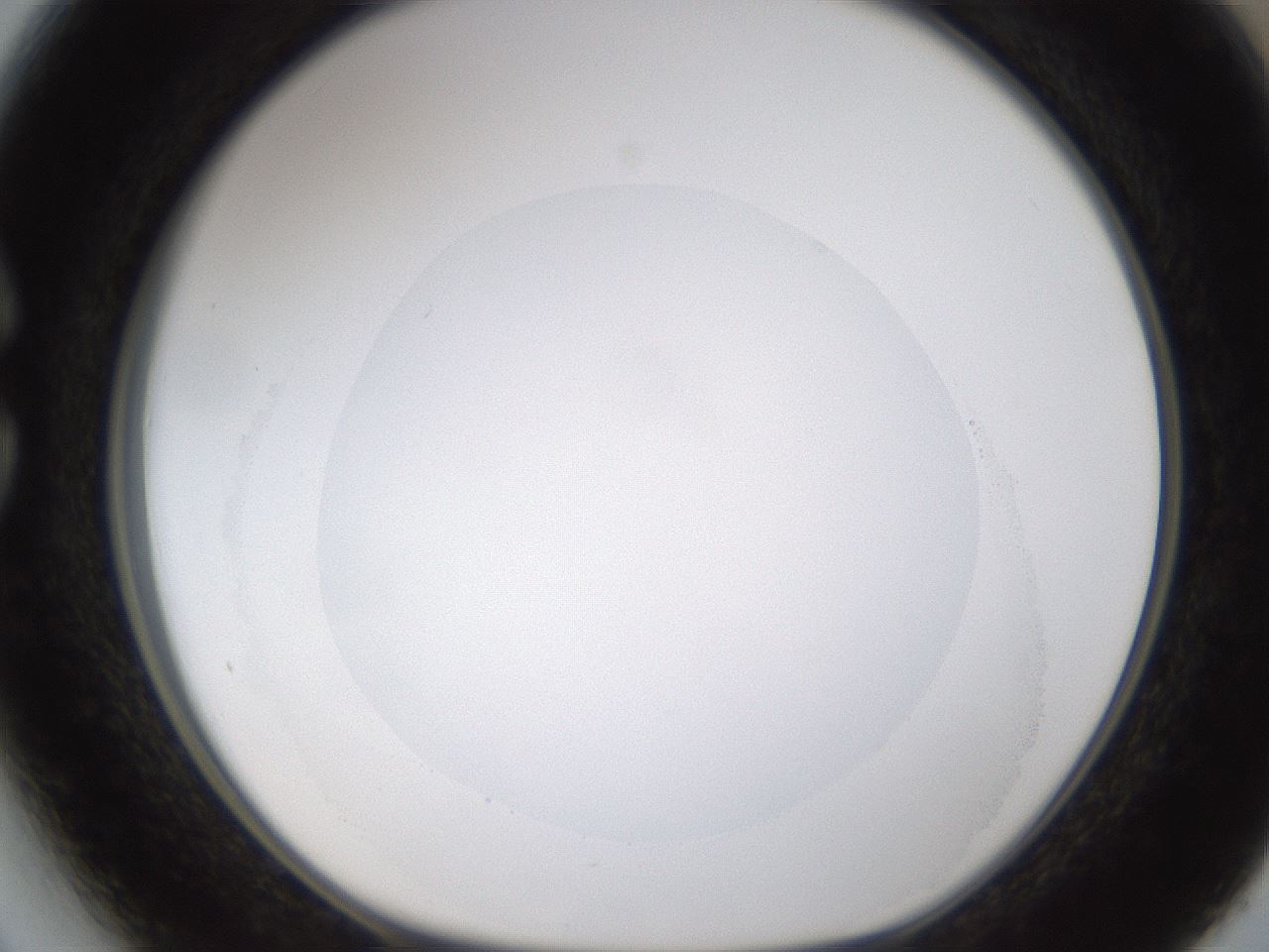 folderID593_plateID1593_batchID6726_wellNum27_profileID1_d1_r105640_ef.jpg