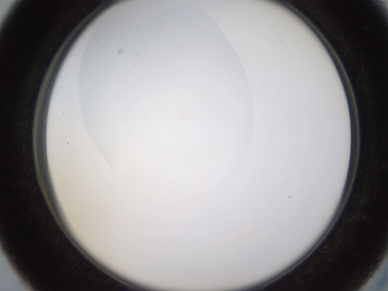folderID593_plateID1593_batchID6726_wellNum27_profileID1_d2_r105641_ef.jpg