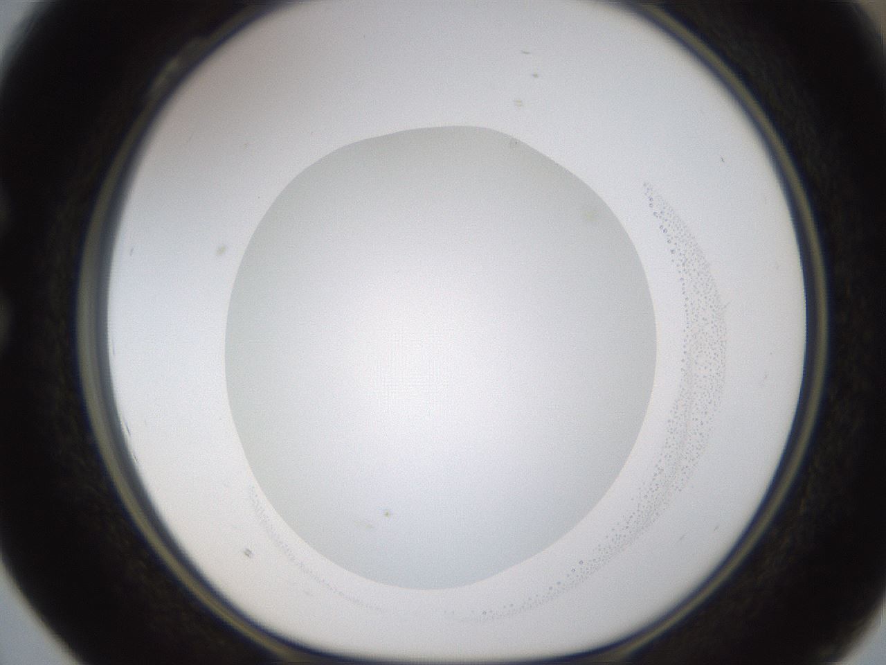 folderID593_plateID1593_batchID6726_wellNum28_profileID1_d1_r105642_ef.jpg