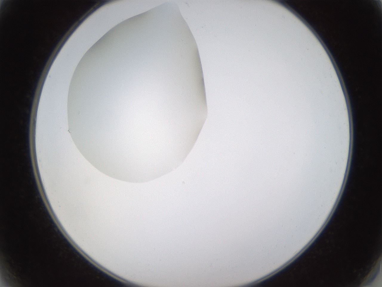 folderID593_plateID1593_batchID6726_wellNum2_profileID1_d2_r105591_ef.jpg