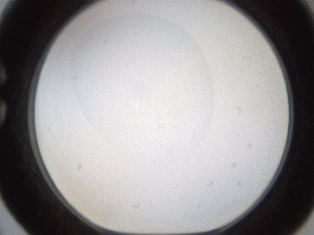 folderID593_plateID1593_batchID6726_wellNum30_profileID1_d1_r105646_ef.jpg