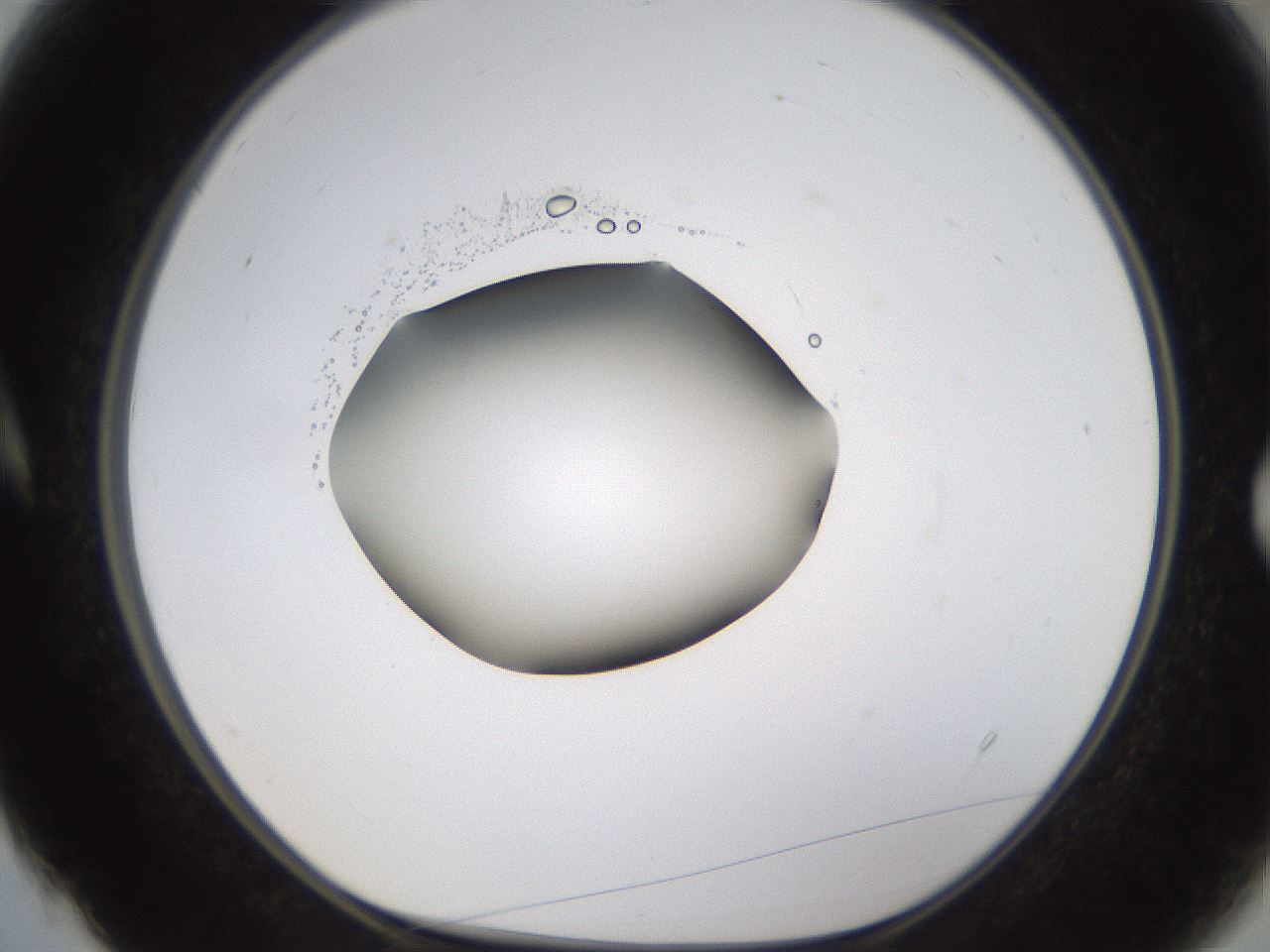 folderID593_plateID1593_batchID6726_wellNum4_profileID1_d1_r105594_ef.jpg