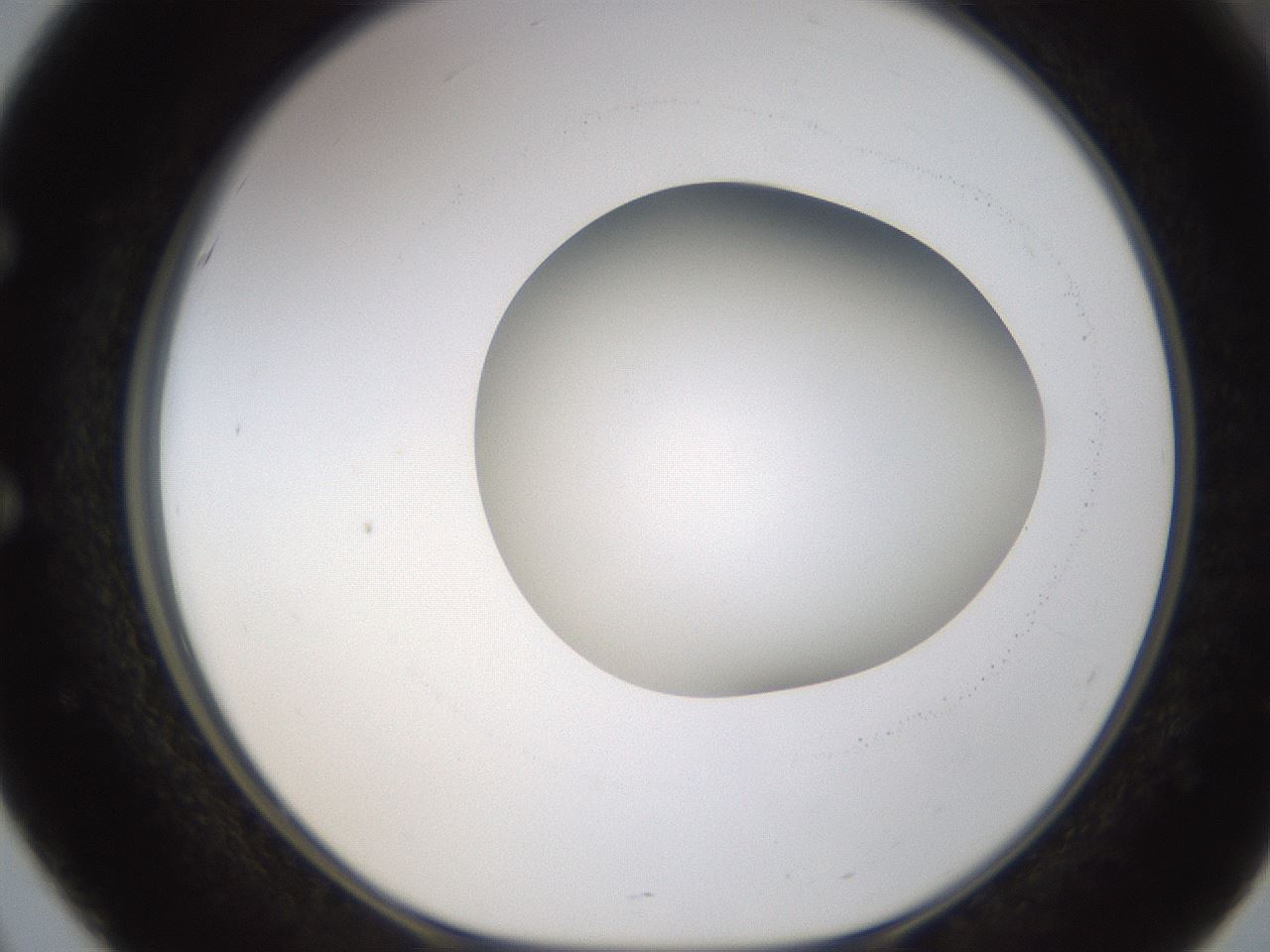 folderID593_plateID1593_batchID6726_wellNum51_profileID1_d1_r105688_ef.jpg