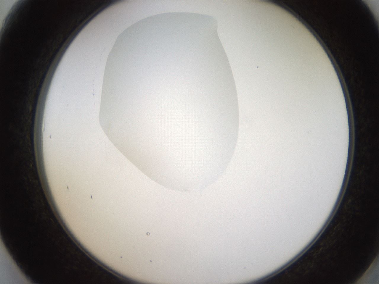 folderID593_plateID1593_batchID6726_wellNum61_profileID1_d2_r105709_ef.jpg