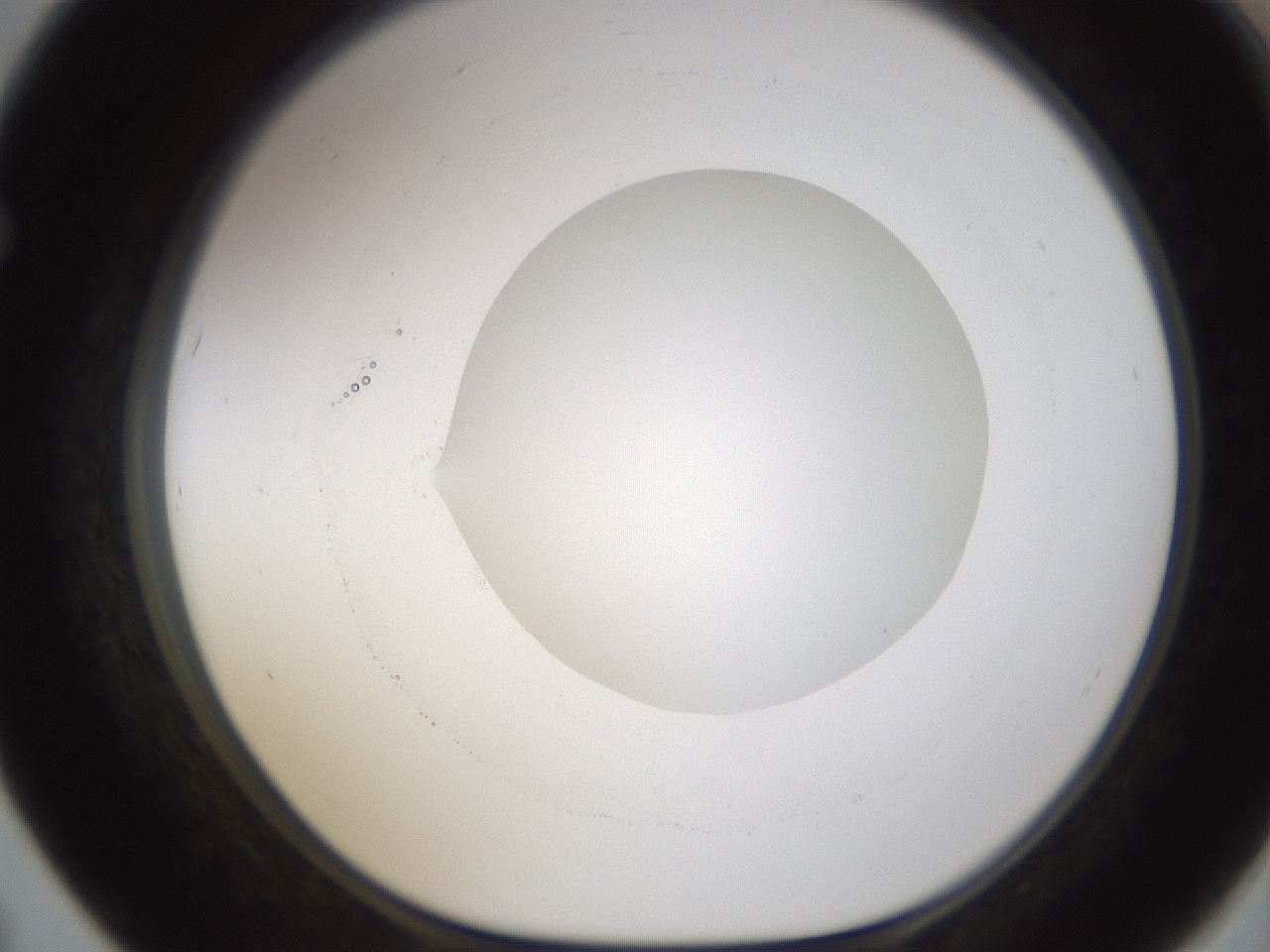 folderID593_plateID1593_batchID6726_wellNum67_profileID1_d1_r105720_ef.jpg