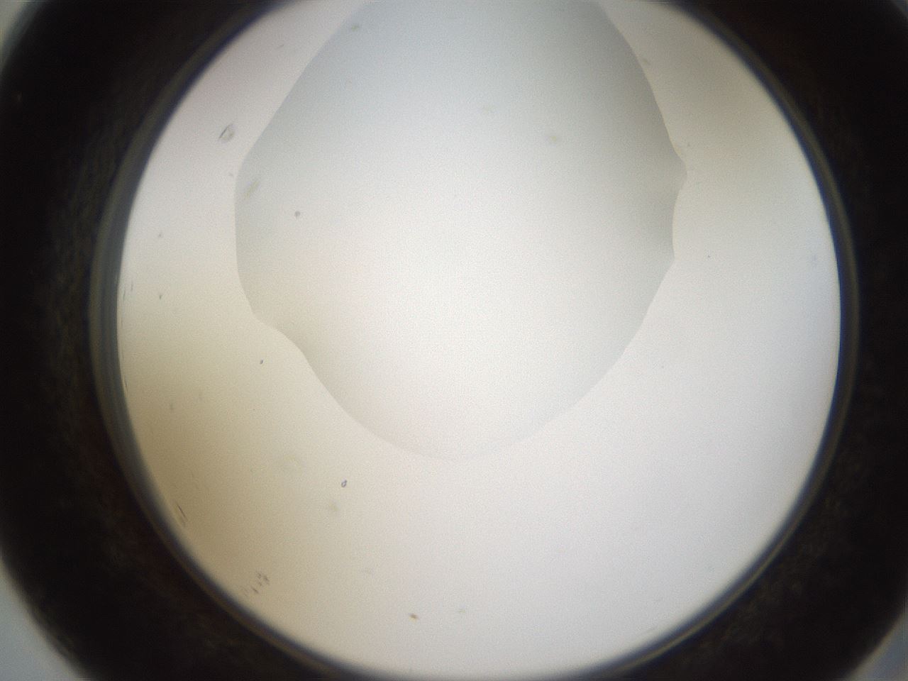 folderID593_plateID1593_batchID6726_wellNum67_profileID1_d2_r105721_ef.jpg