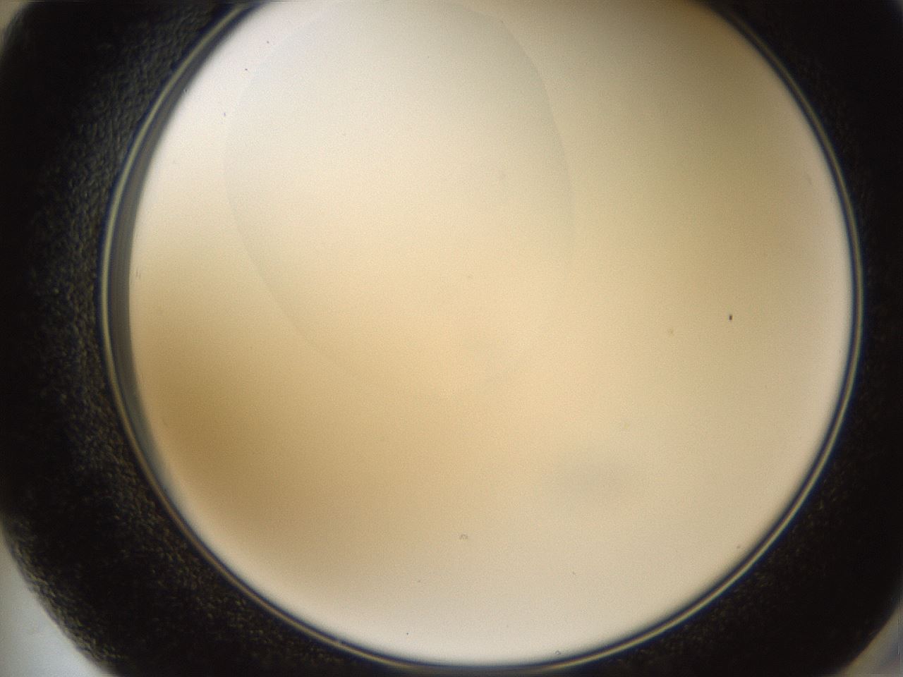 folderID593_plateID1593_batchID6726_wellNum72_profileID1_d2_r105731_ef.jpg