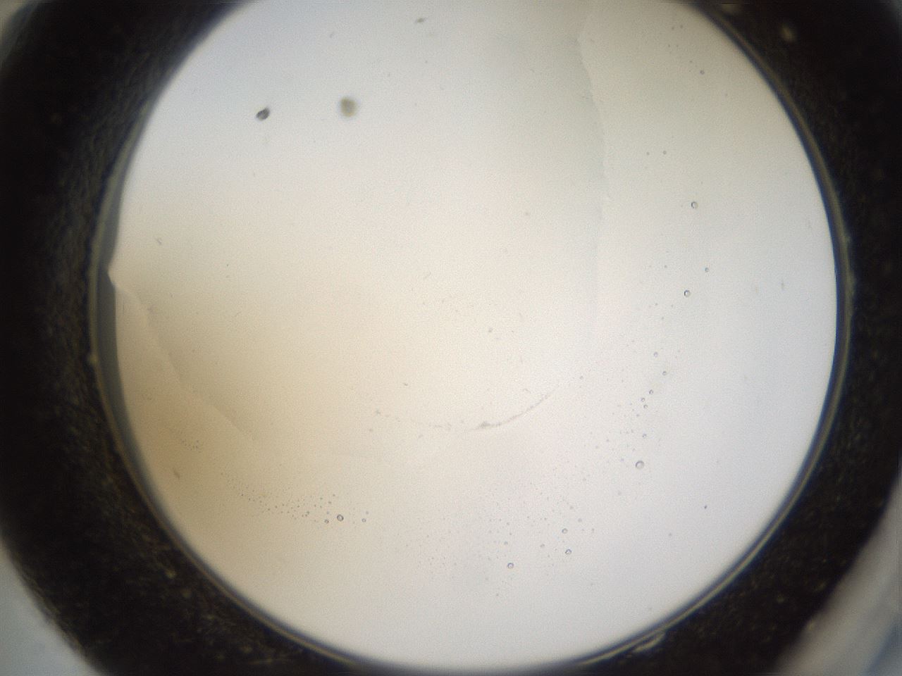 folderID593_plateID1593_batchID6726_wellNum58_profileID1_d2_r105703_ef.jpg