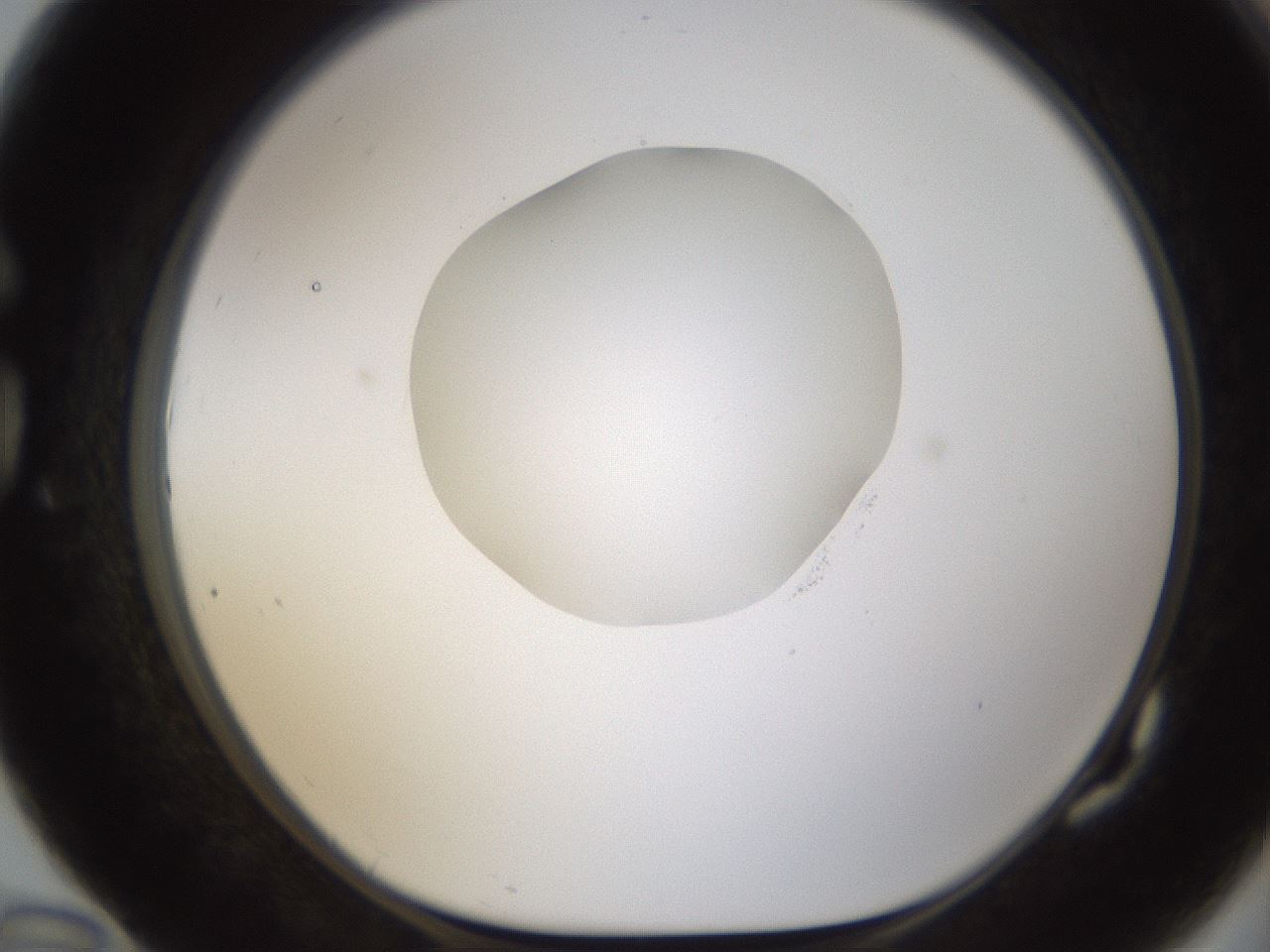 folderID593_plateID1593_batchID6726_wellNum82_profileID1_d1_r105750_ef.jpg