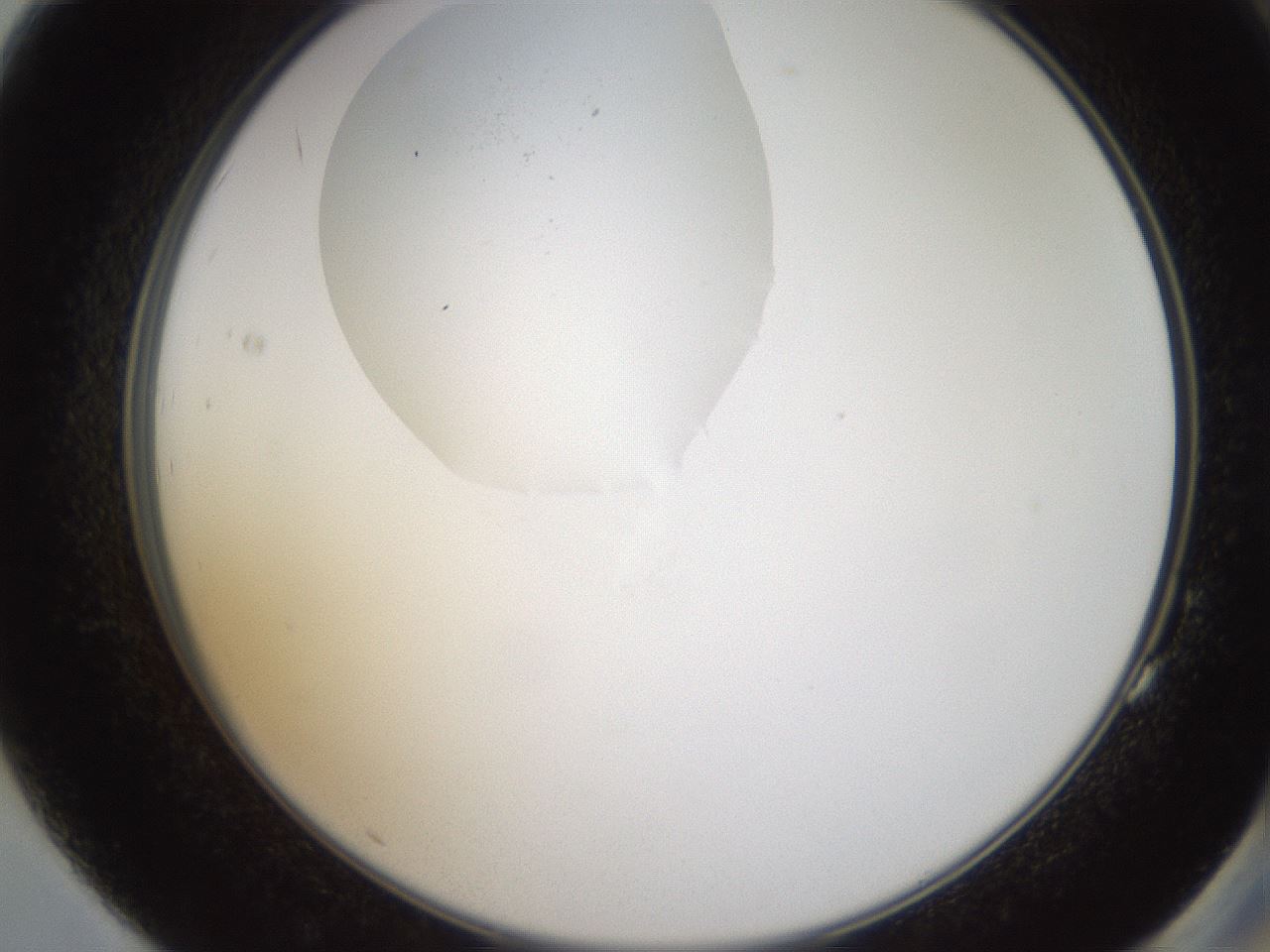 folderID593_plateID1593_batchID6726_wellNum83_profileID1_d2_r105753_ef.jpg