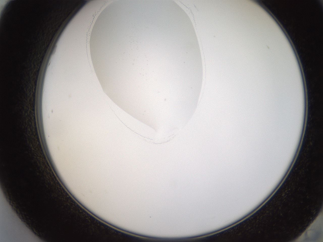 folderID593_plateID1593_batchID6726_wellNum84_profileID1_d2_r105755_ef.jpg