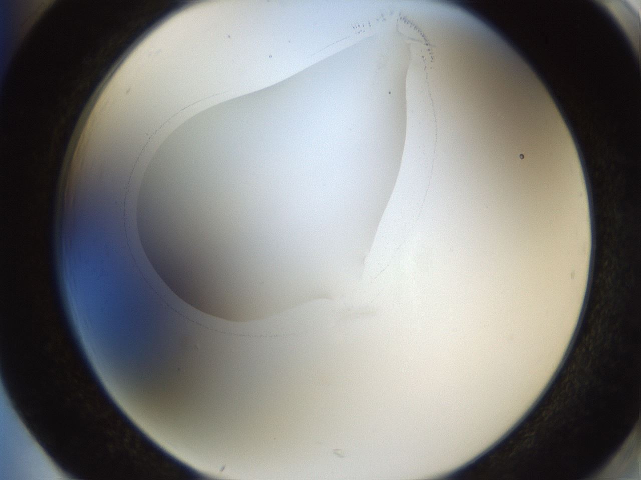 folderID593_plateID1593_batchID6726_wellNum85_profileID1_d2_r105757_ef.jpg