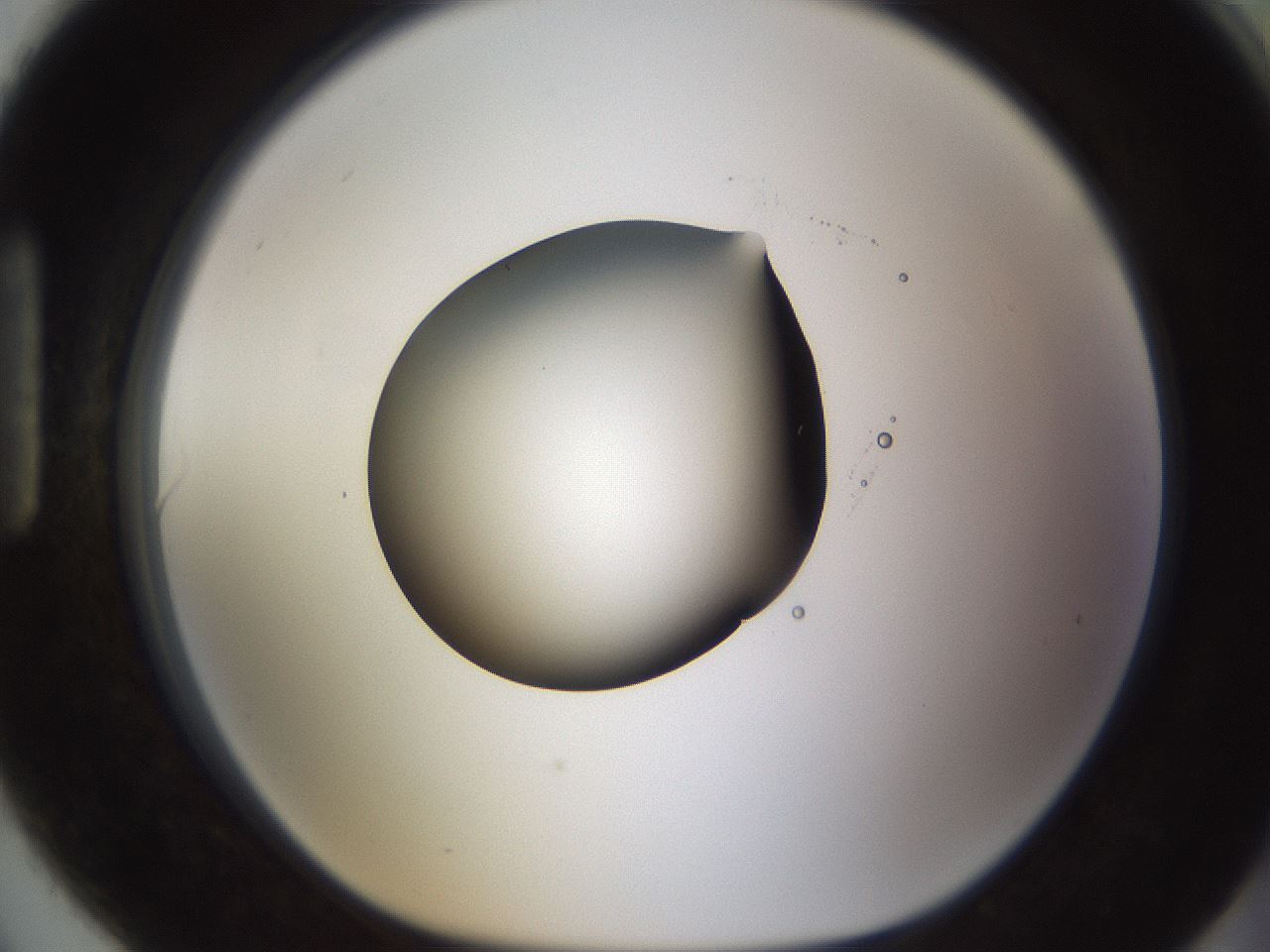 folderID593_plateID1593_batchID6726_wellNum90_profileID1_d1_r105766_ef.jpg