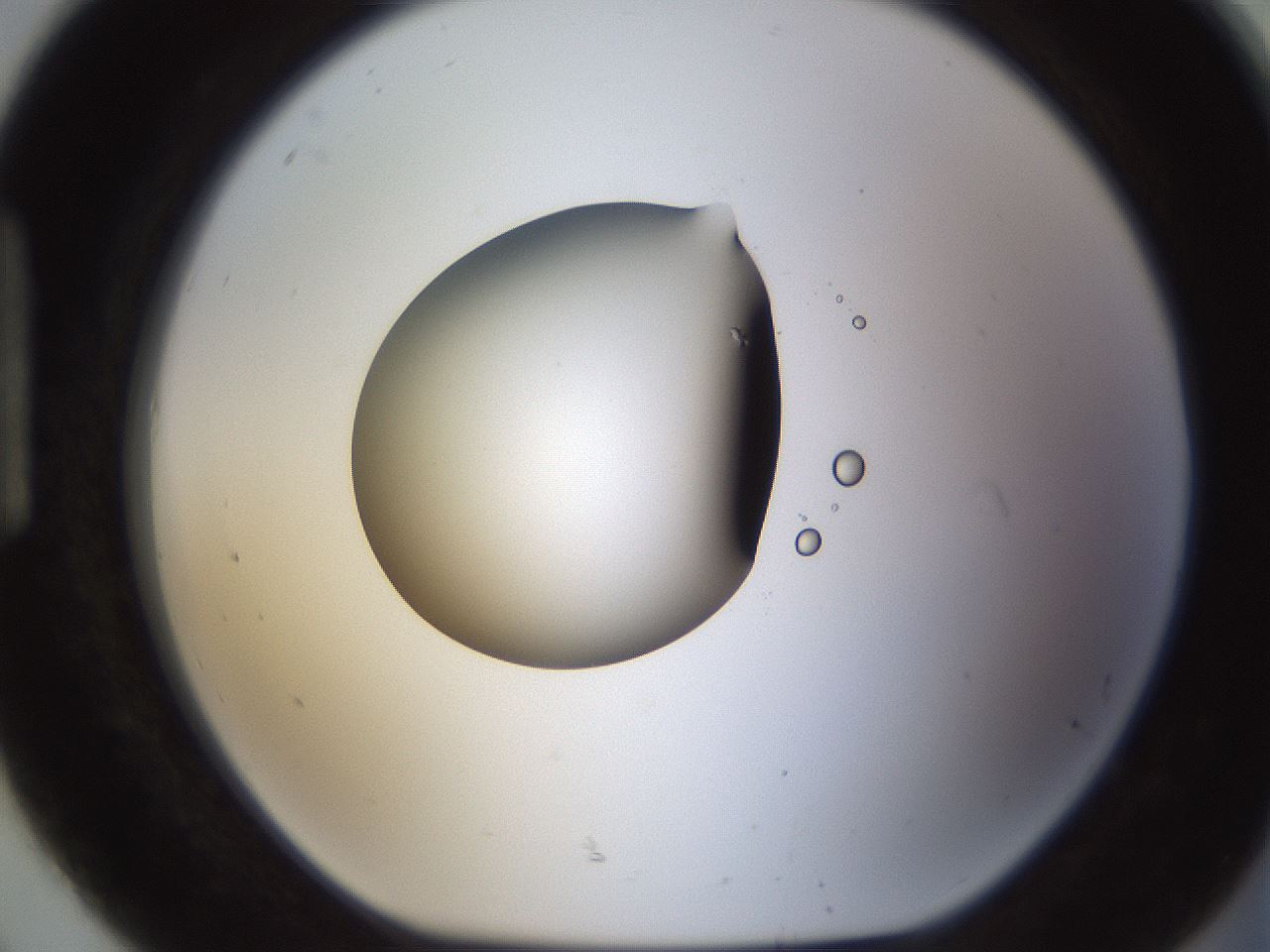 folderID593_plateID1593_batchID6726_wellNum92_profileID1_d1_r105770_ef.jpg
