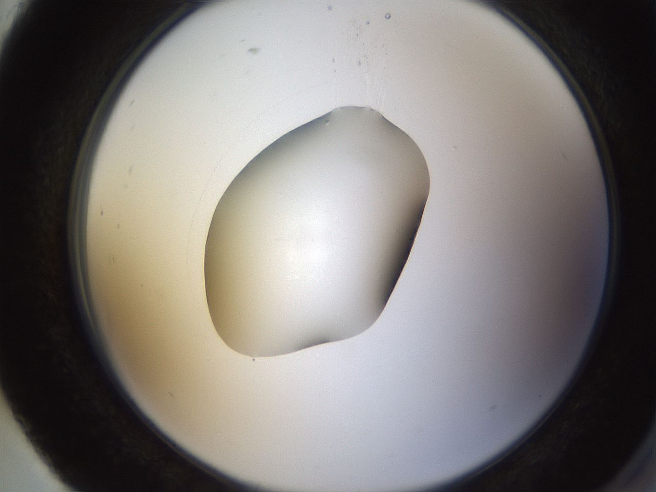 folderID593_plateID1593_batchID6726_wellNum93_profileID1_d2_r105773_ef.jpg