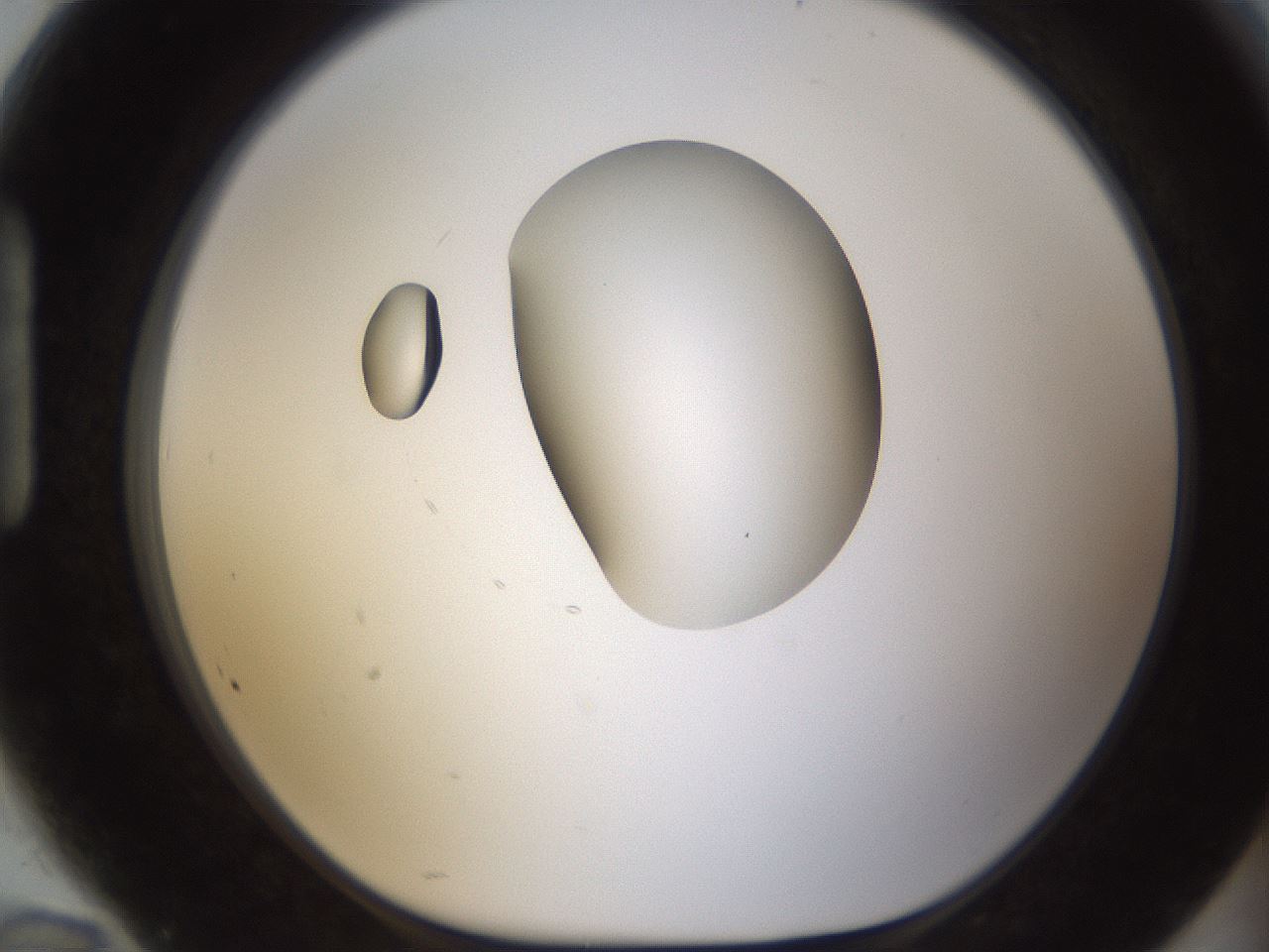 folderID593_plateID1593_batchID6726_wellNum94_profileID1_d1_r105774_ef.jpg