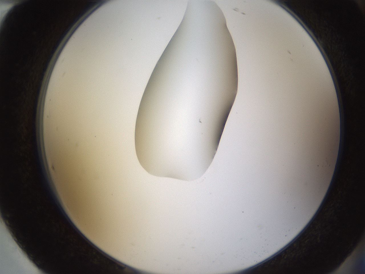 folderID593_plateID1593_batchID6726_wellNum94_profileID1_d2_r105775_ef.jpg