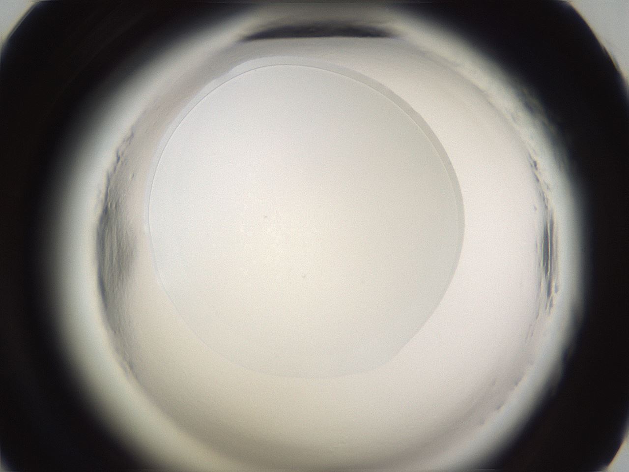 folderID593_plateID2593_batchID13183_wellNum57_profileID1_d1_r204370_ef.jpg