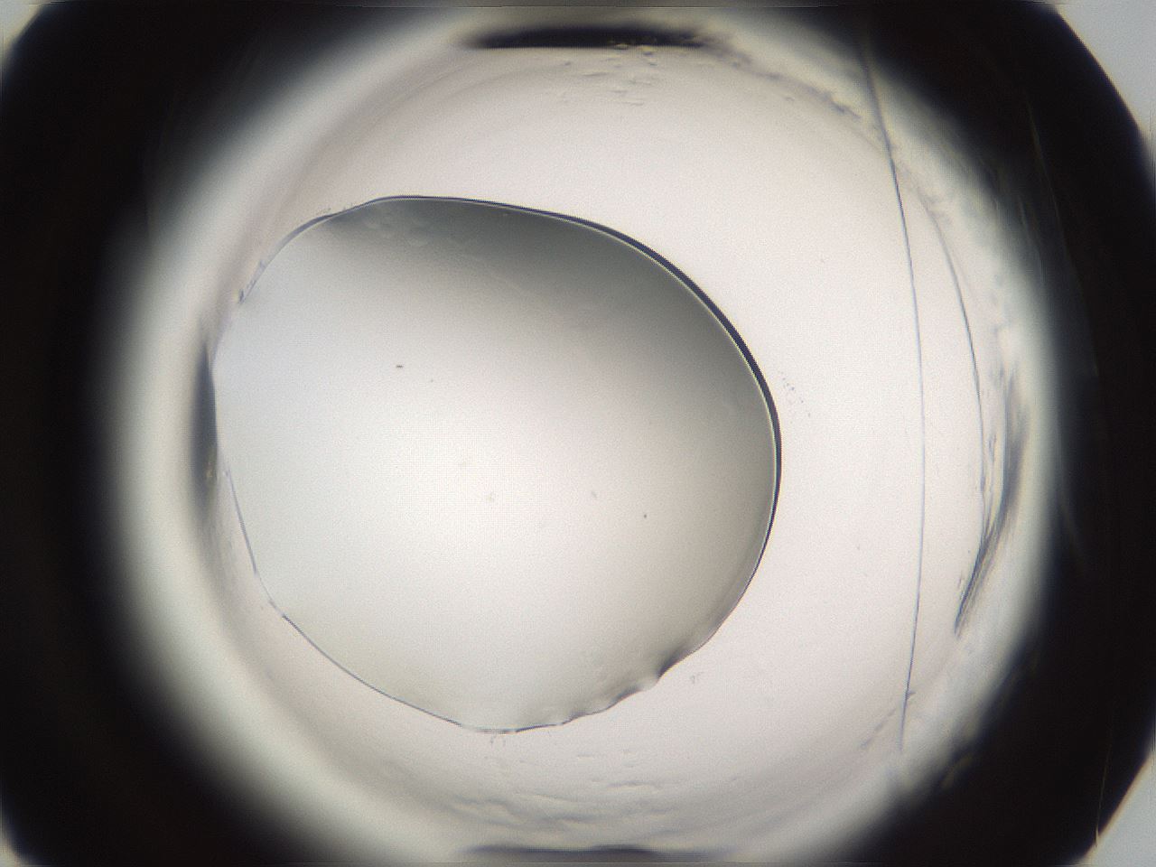 folderID593_plateID2593_batchID13183_wellNum75_profileID1_d3_r204426_ef.jpg