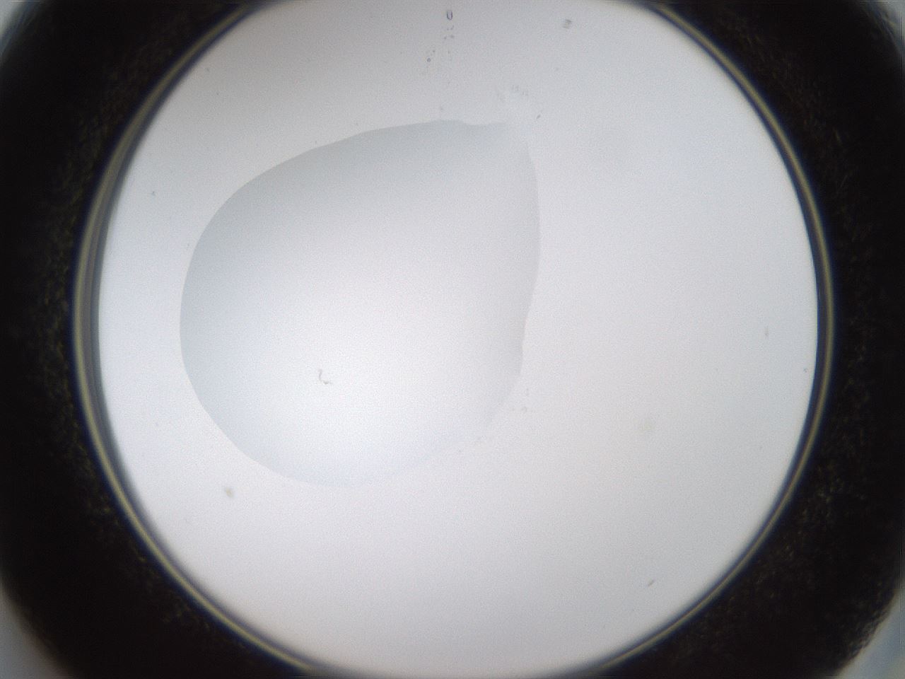 folderID594_plateID1594_batchID6733_wellNum13_profileID1_d2_r106957_ef.jpg