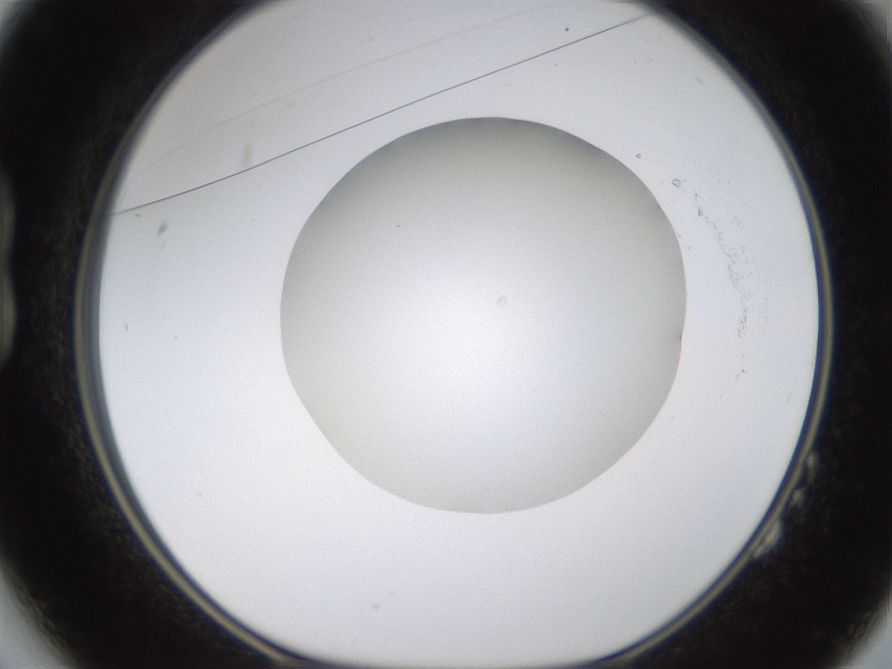 folderID594_plateID1594_batchID6733_wellNum14_profileID1_d1_r106958_ef.jpg