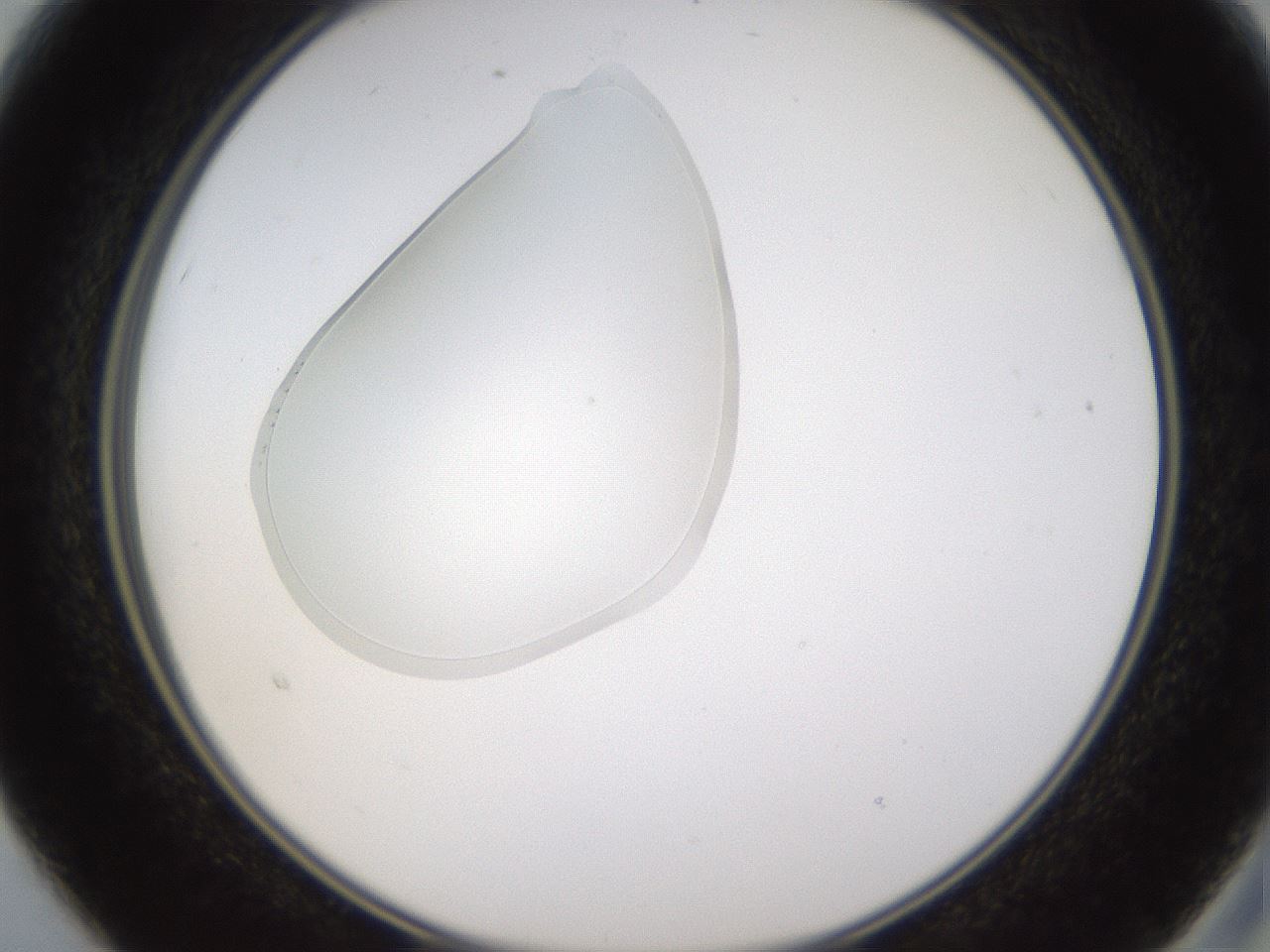 folderID594_plateID1594_batchID6733_wellNum15_profileID1_d2_r106961_ef.jpg