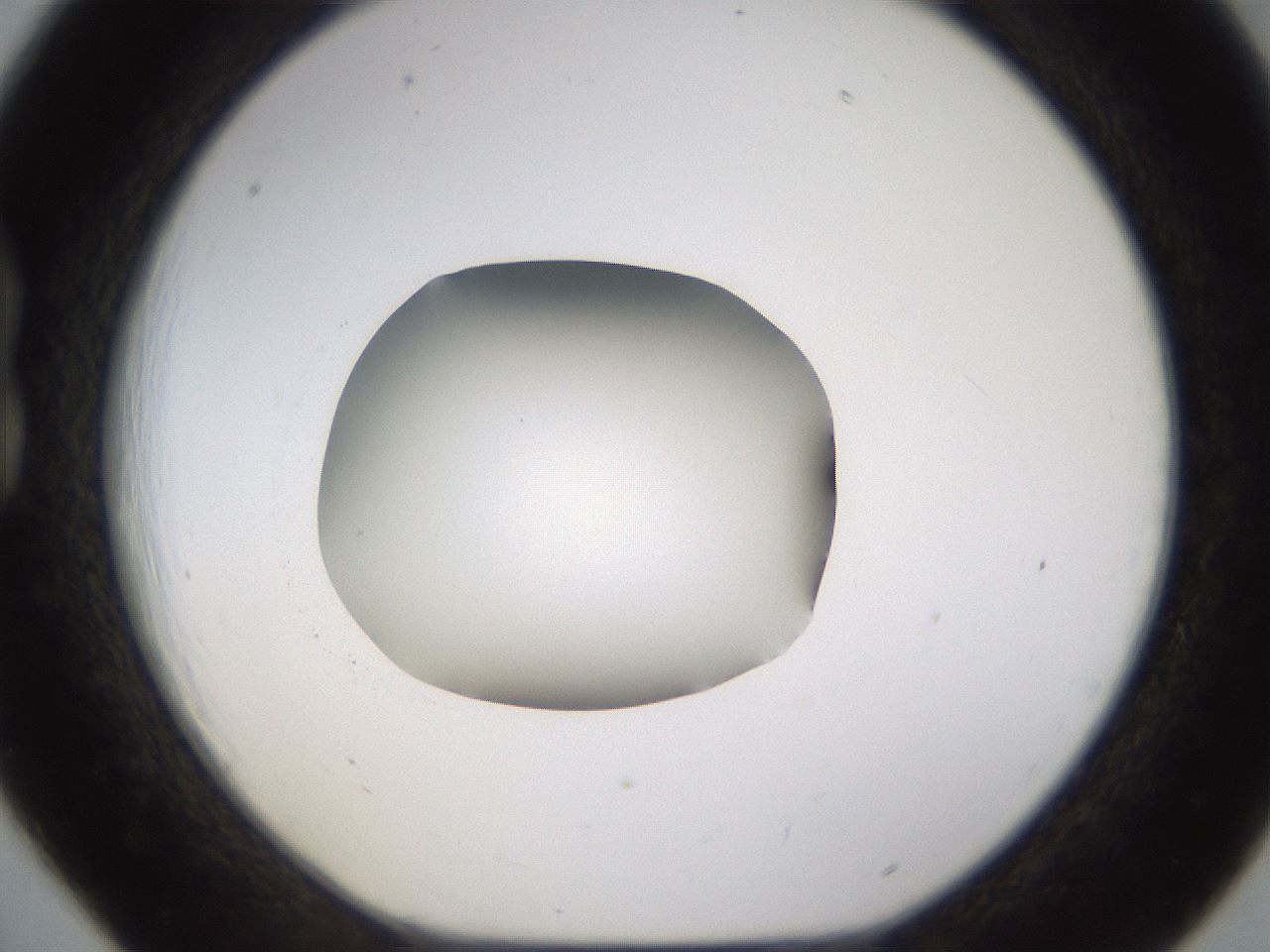 folderID594_plateID1594_batchID6733_wellNum18_profileID1_d1_r106966_ef.jpg