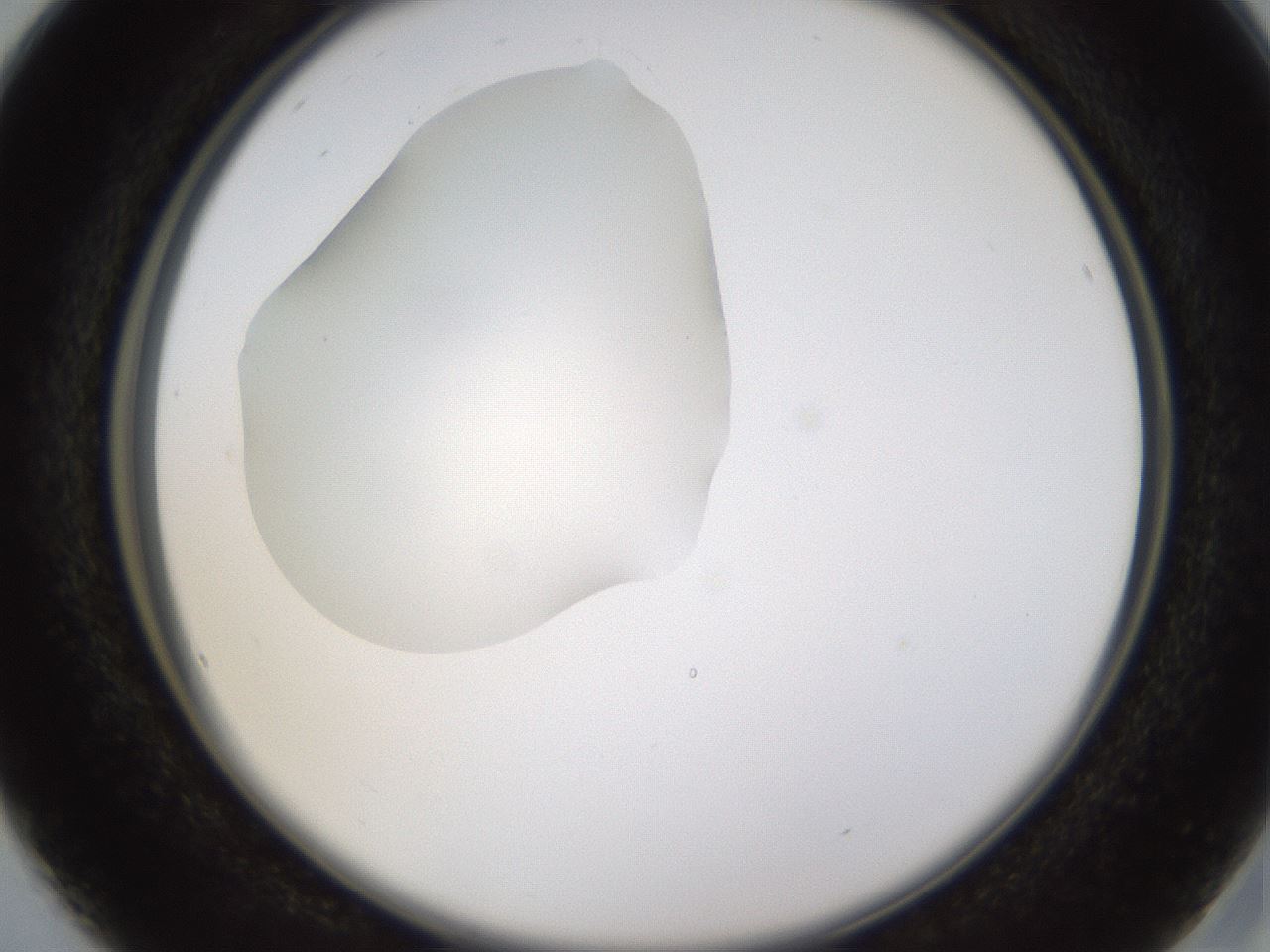 folderID594_plateID1594_batchID6733_wellNum16_profileID1_d2_r106963_ef.jpg