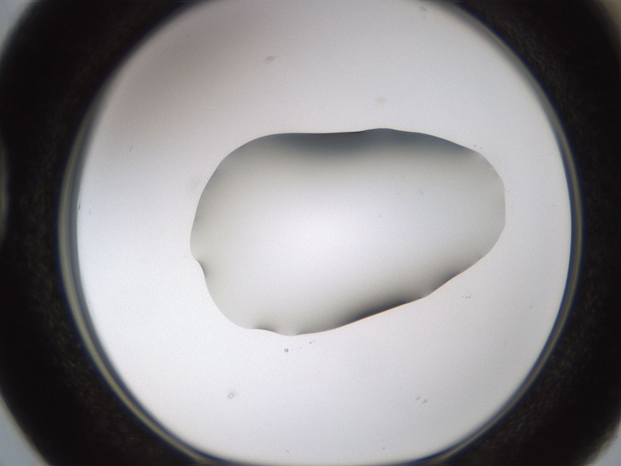 folderID594_plateID1594_batchID6733_wellNum38_profileID1_d1_r107006_ef.jpg