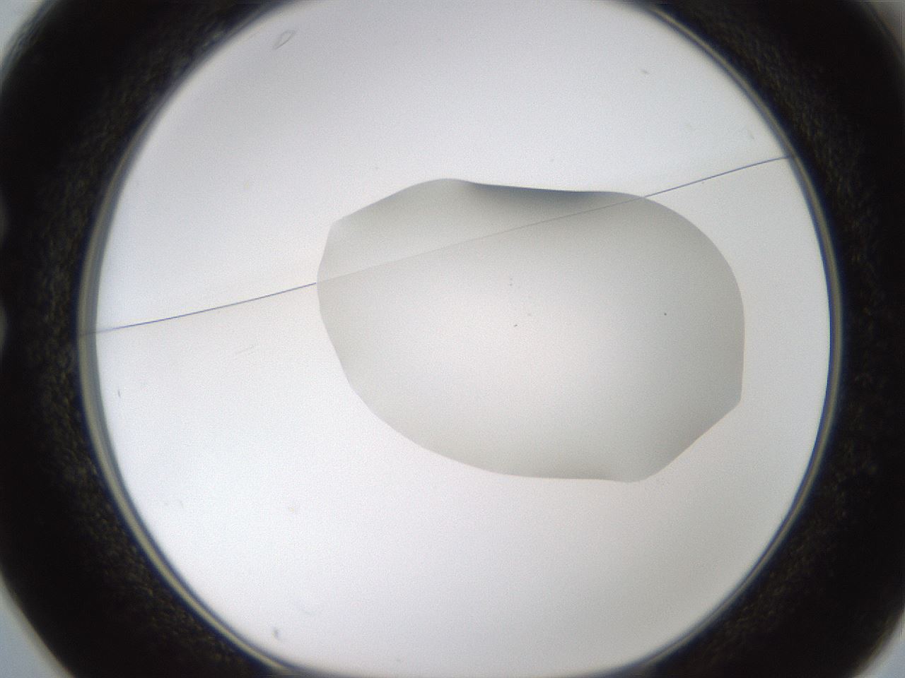 folderID594_plateID1594_batchID6733_wellNum25_profileID1_d1_r106980_ef.jpg