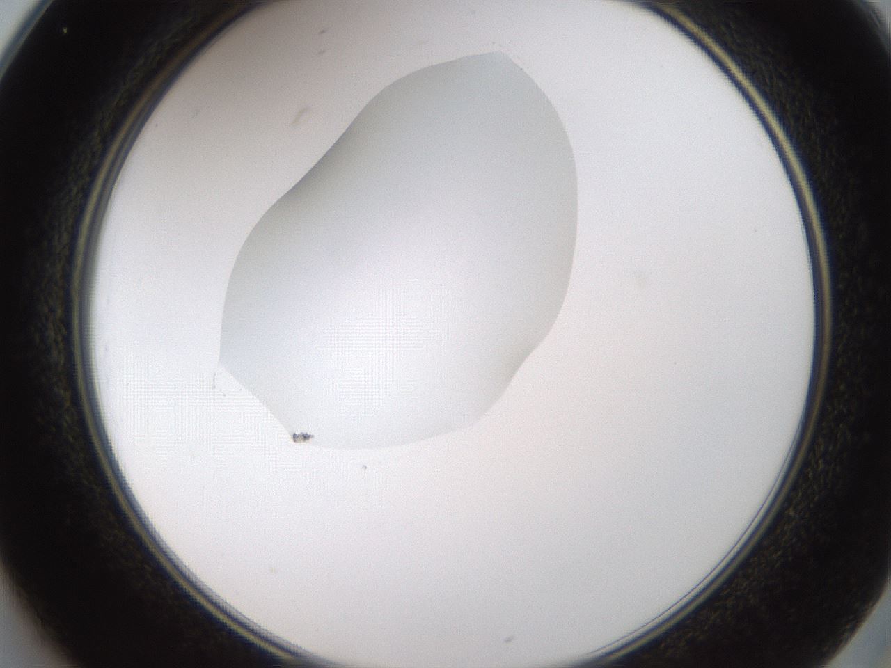 folderID594_plateID1594_batchID6733_wellNum25_profileID1_d2_r106981_ef.jpg