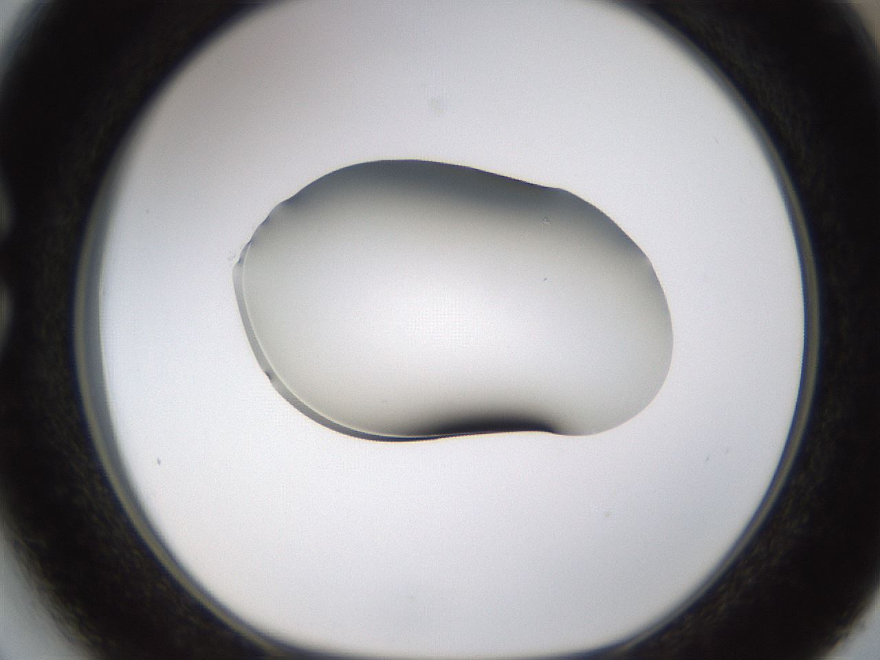 folderID594_plateID1594_batchID6733_wellNum27_profileID1_d1_r106984_ef.jpg