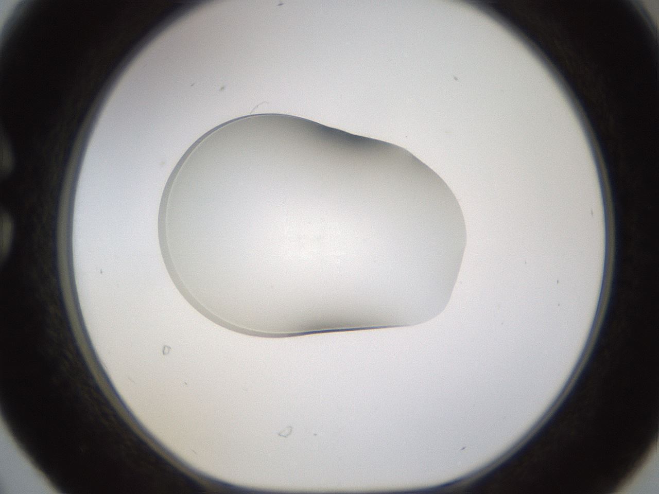 folderID594_plateID1594_batchID6733_wellNum30_profileID1_d1_r106990_ef.jpg