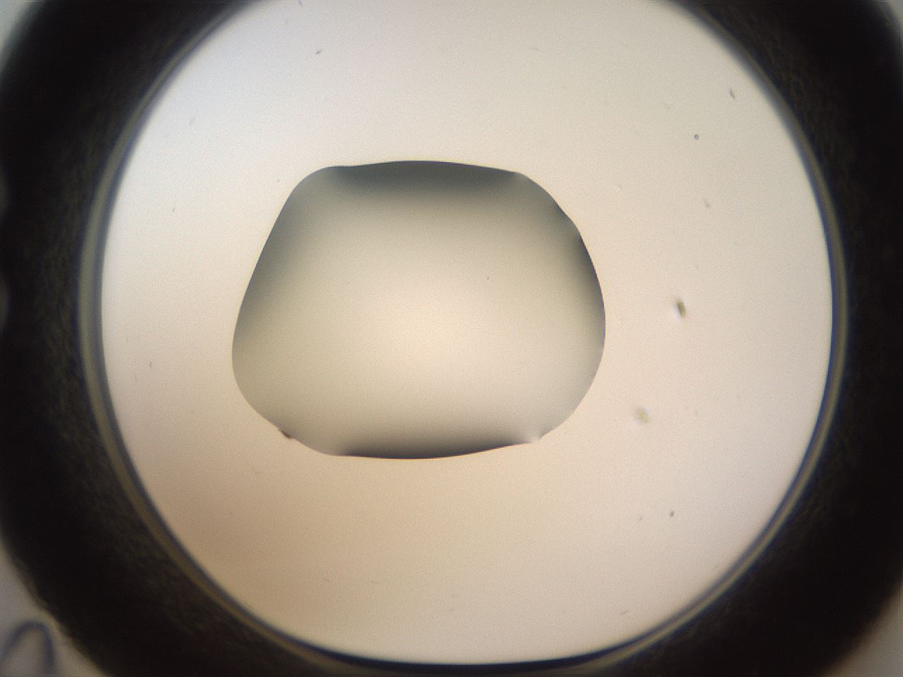 folderID594_plateID1594_batchID6733_wellNum35_profileID1_d1_r107000_ef.jpg