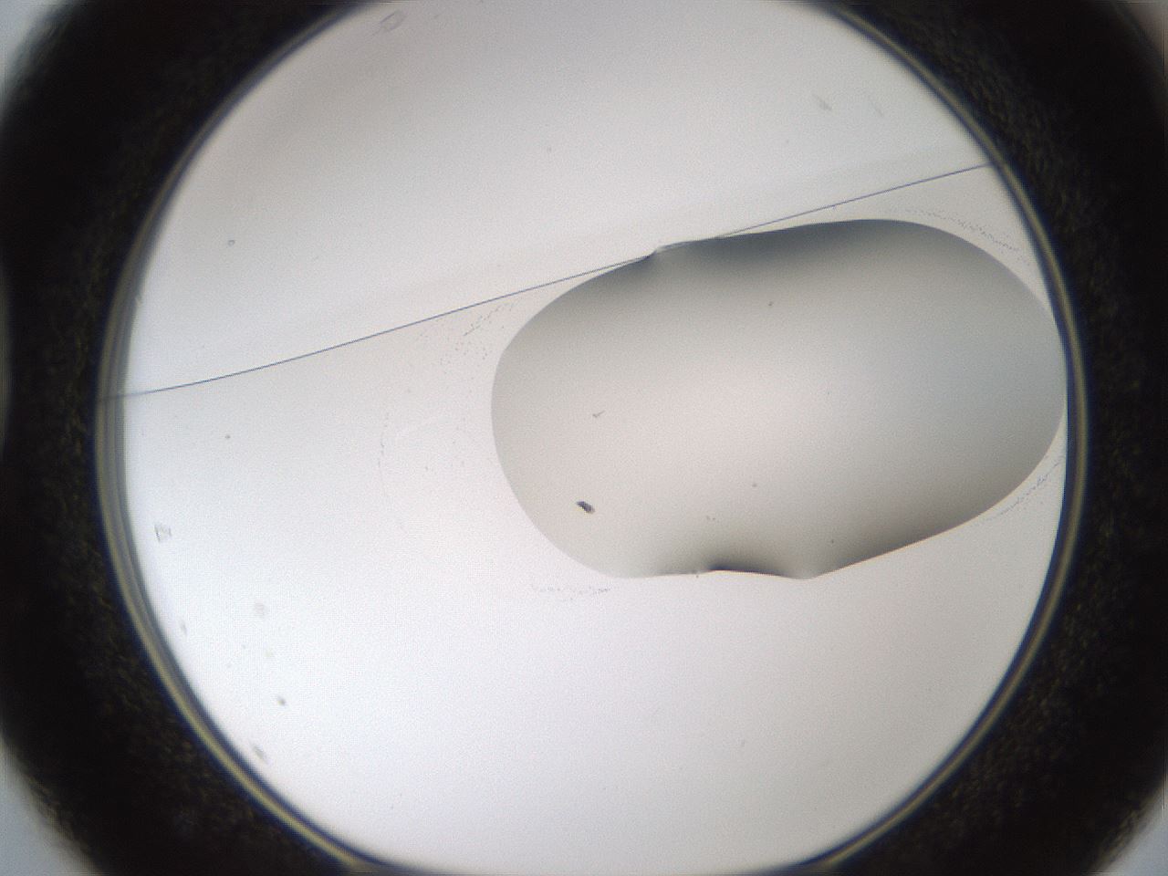 folderID594_plateID1594_batchID6733_wellNum37_profileID1_d1_r107004_ef.jpg