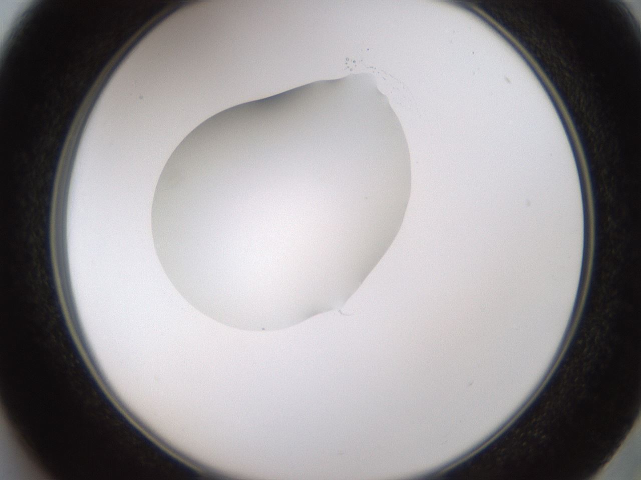 folderID594_plateID1594_batchID6733_wellNum37_profileID1_d2_r107005_ef.jpg