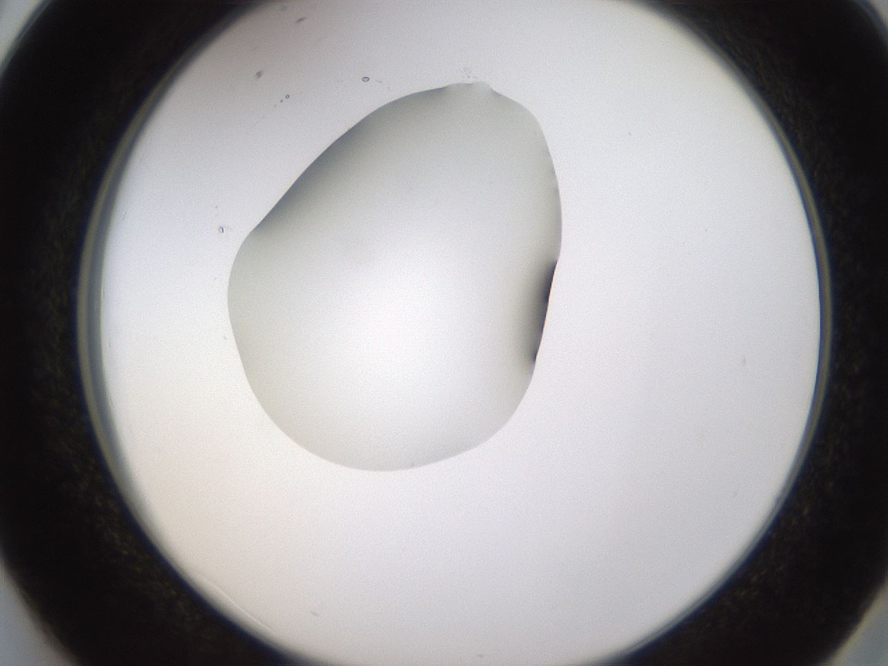 folderID594_plateID1594_batchID6733_wellNum38_profileID1_d2_r107007_ef.jpg