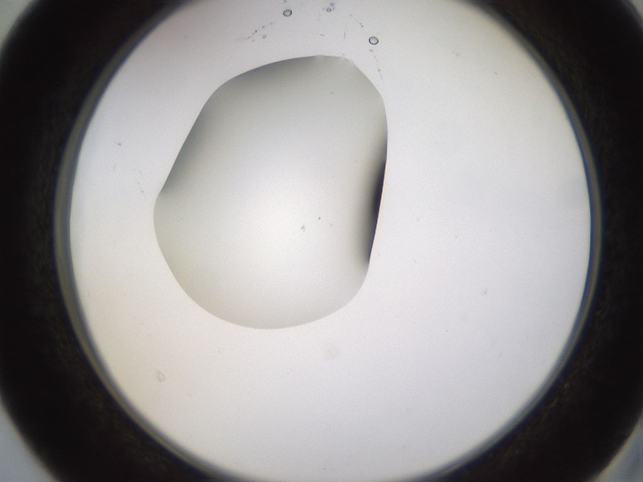 folderID594_plateID1594_batchID6733_wellNum40_profileID1_d2_r107011_ef.jpg
