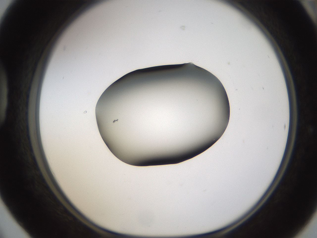 folderID594_plateID1594_batchID6733_wellNum42_profileID1_d1_r107014_ef.jpg