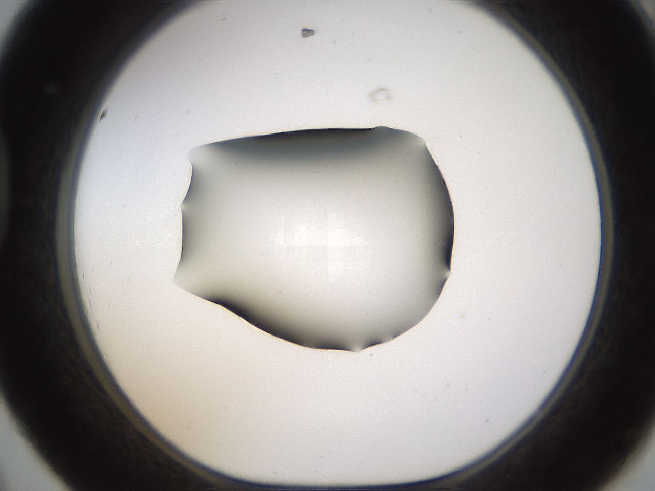 folderID594_plateID1594_batchID6733_wellNum44_profileID1_d1_r107018_ef.jpg