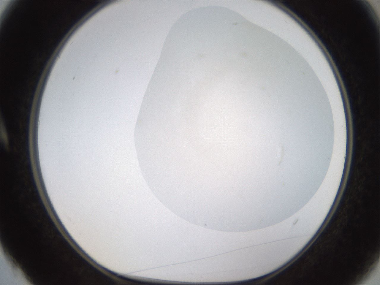 folderID594_plateID1594_batchID6733_wellNum4_profileID1_d1_r106938_ef.jpg
