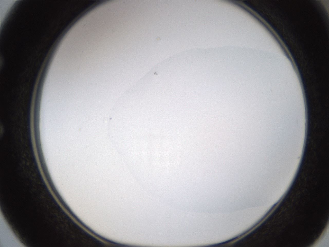 folderID594_plateID1594_batchID6733_wellNum50_profileID1_d1_r107030_ef.jpg