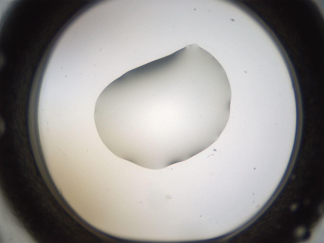 folderID594_plateID1594_batchID6733_wellNum54_profileID1_d1_r107038_ef.jpg